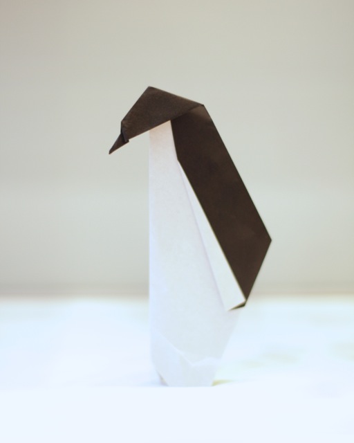 Origami Penguin Demonstrations [03/05/15]