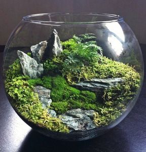 Terrarium Building Workshop [04/24/16]