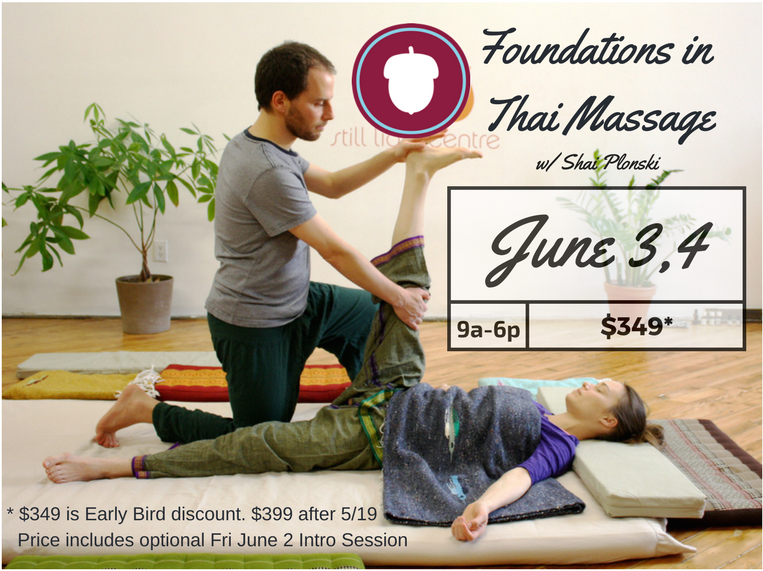 Foundations In Thai Massage 060317 9351