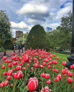 75 things to do in Boston this weekend [05/12/17]